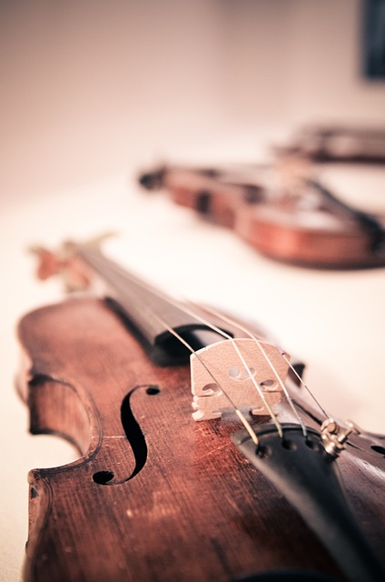 violin-338518_640.jpg